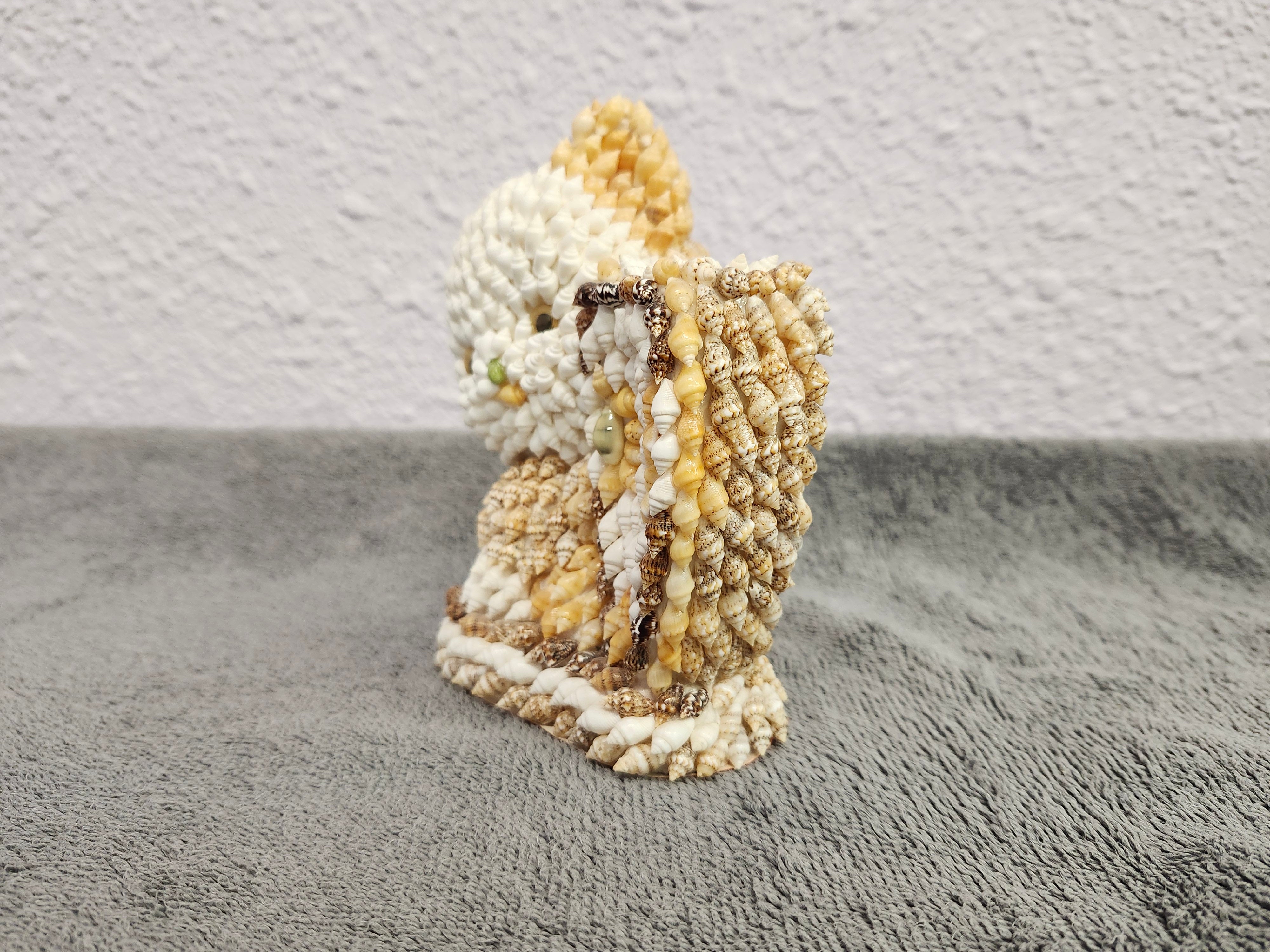 Shell kitty