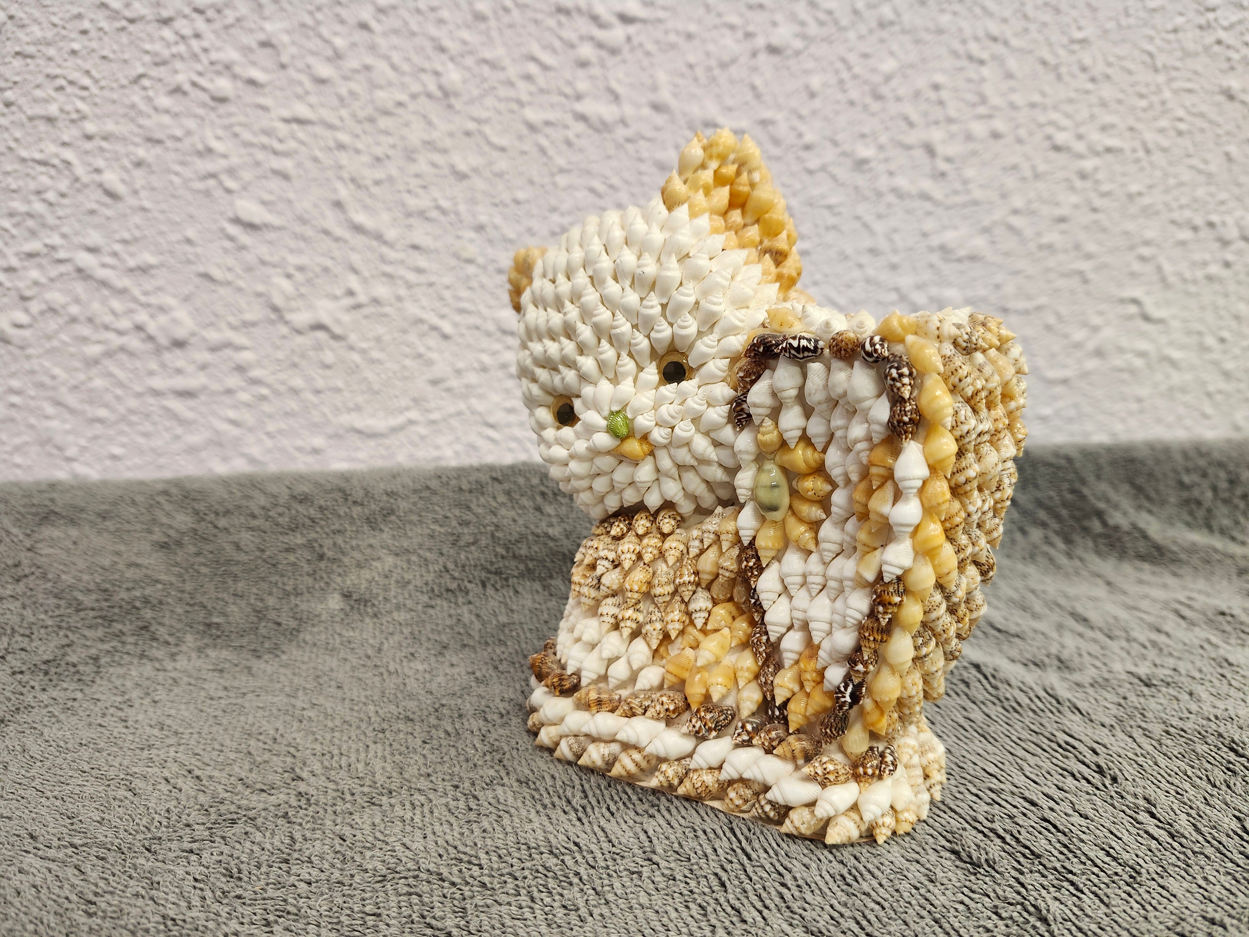 Shell kitty