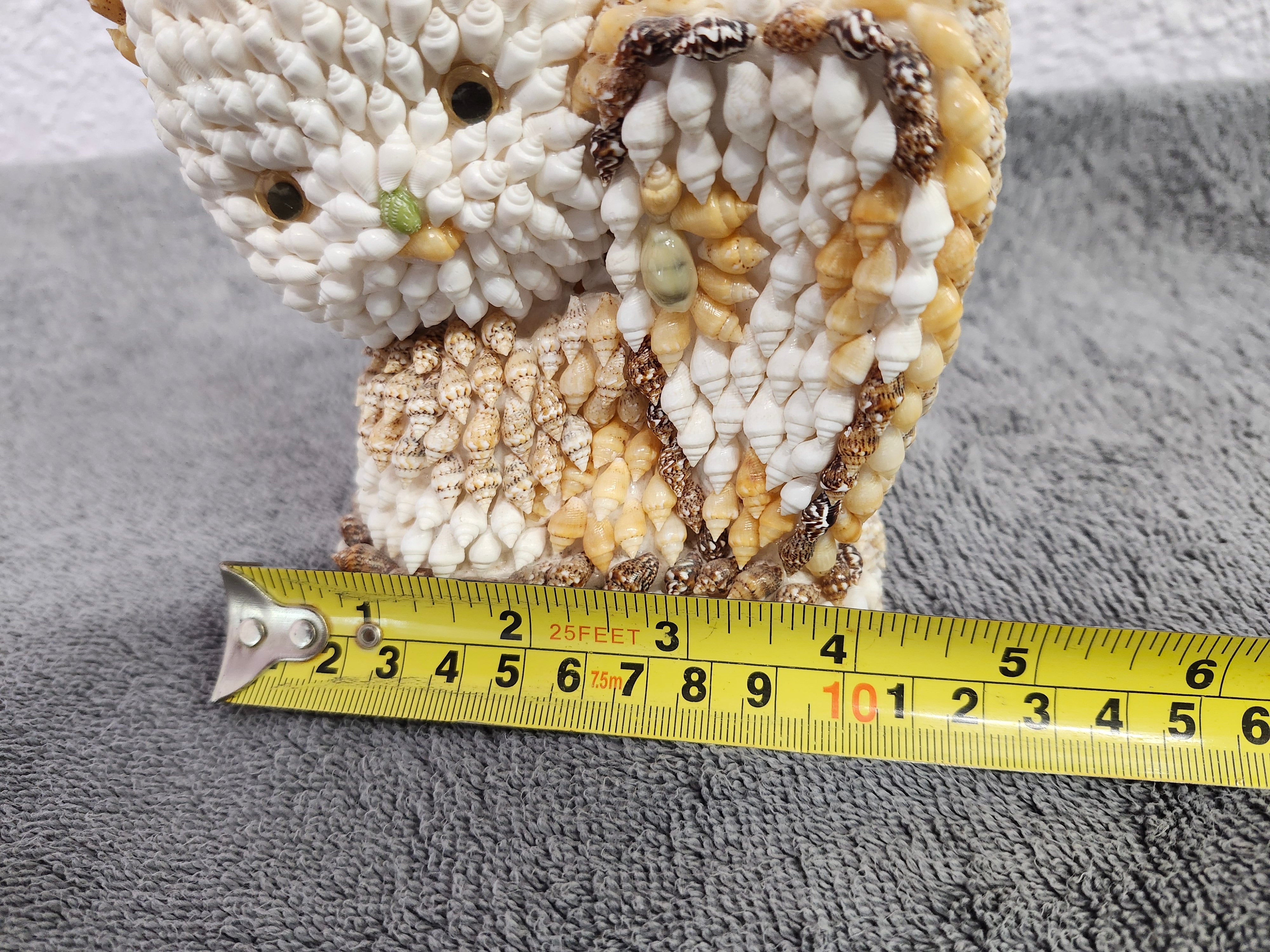 Shell kitty