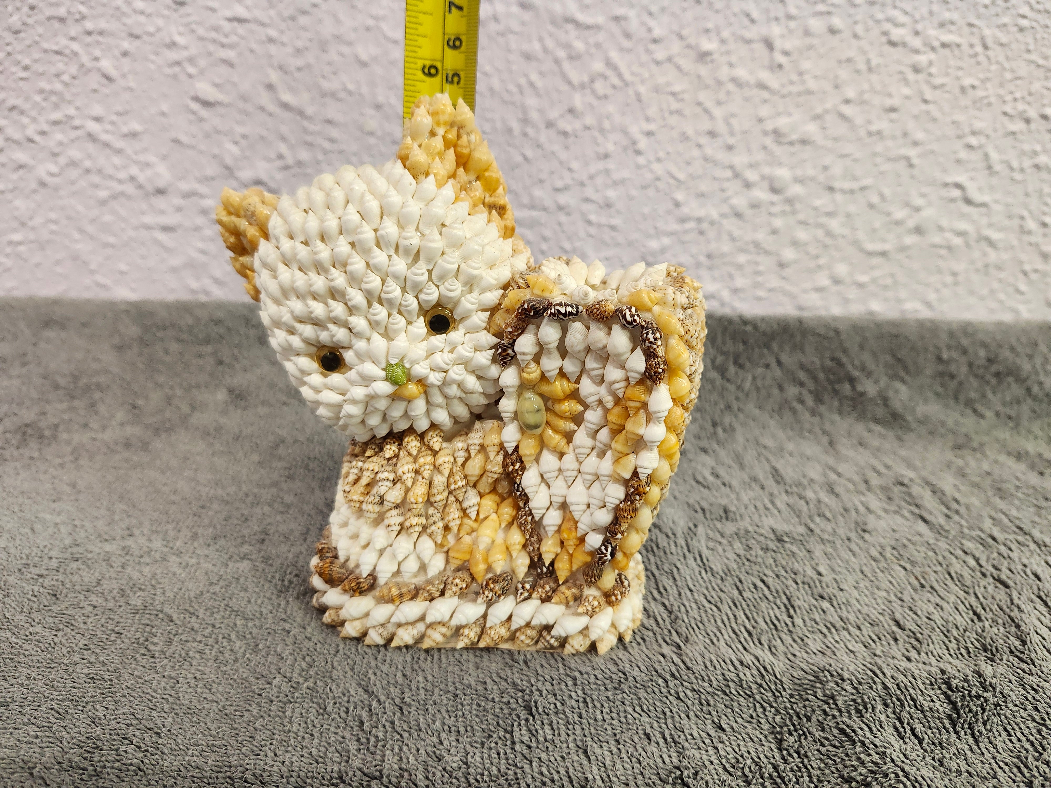 Shell kitty