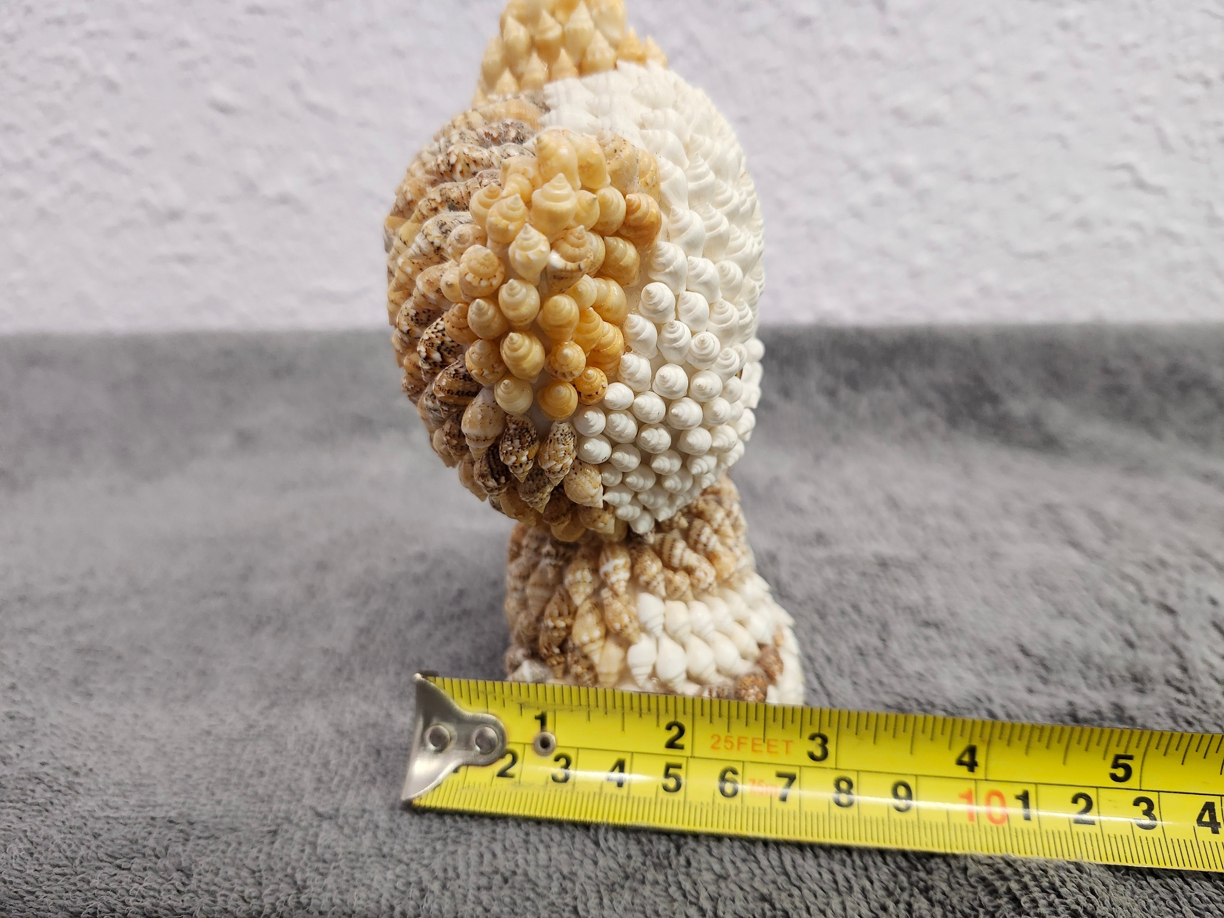 Shell kitty